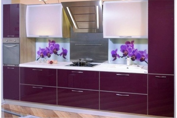 Скинали - декоративный фартук из стекла - изображениe 10