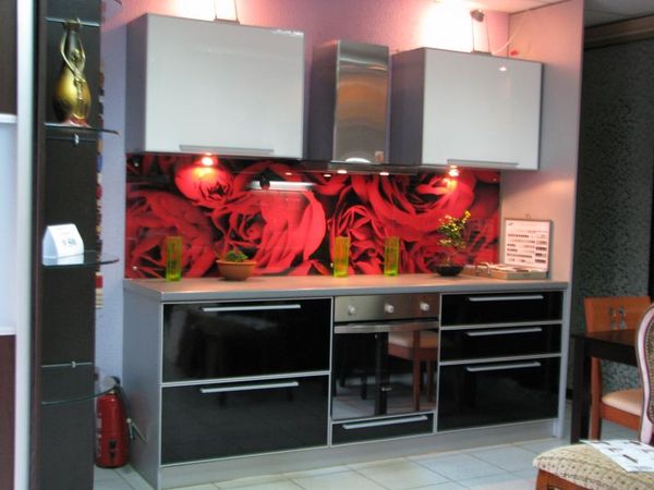 Скинали - декоративный фартук из стекла - изображениe 2