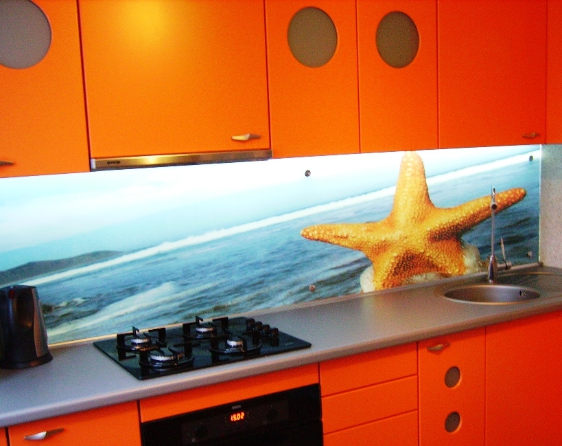 Скинали - декоративный фартук из стекла - изображениe 5