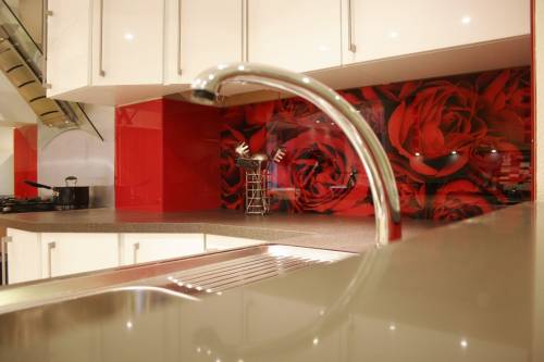 Скинали - декоративный фартук из стекла - изображениe 7