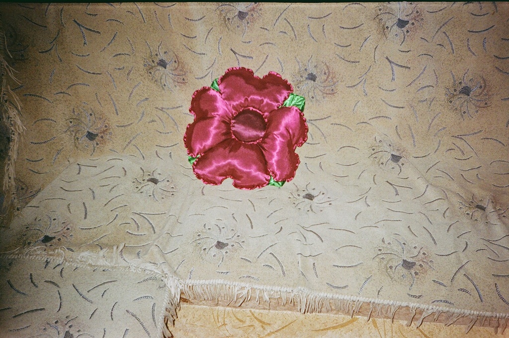 Декоративні подушечки Хмельницький - изображениe 2