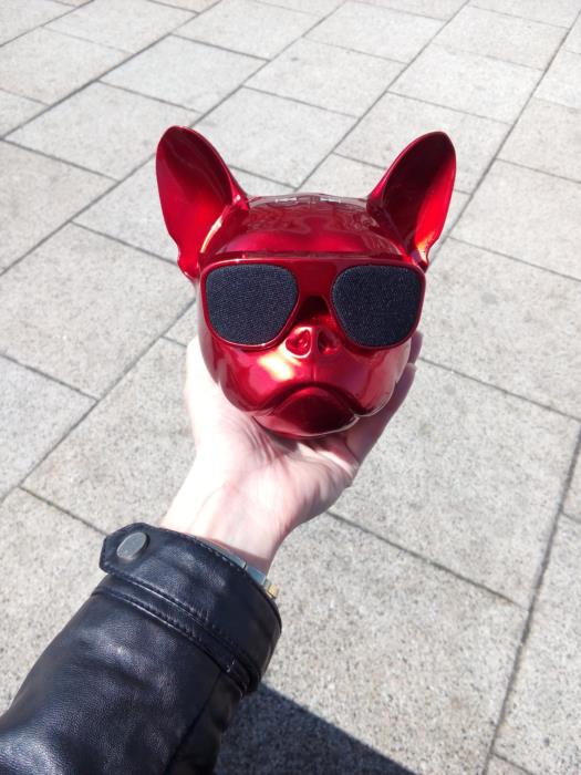 Портативная колонка Aerobull - изображениe 4