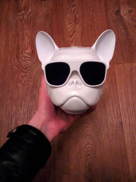 Портативная колонка Aerobull - изображениe 6