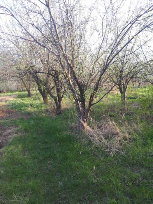 Продам участок земли в дачном кооперативе возле аэропорта - изображениe 1