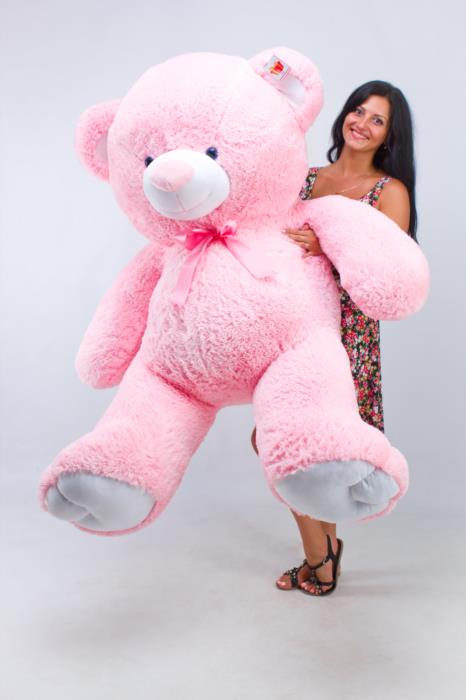 Плюшевые медведи - изображениe 2