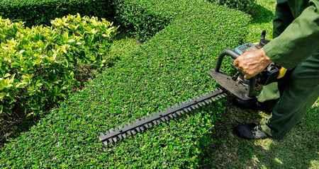 Обрезка сада уход за участком - изображениe 1