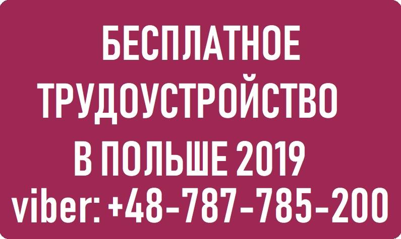 Бесплатные вакансии для мужчин в Польше WorkBalance - изображениe 1