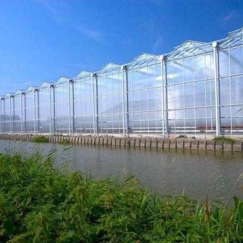 ПЛЕНКА Тепличная купить в ДНЕПРЕ Пленка на метраж - изображениe 2