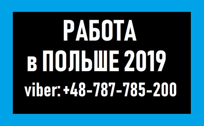 WorkBalance ЗАПРОШУМО В Польщу на Роботу фахівців - изображениe 1