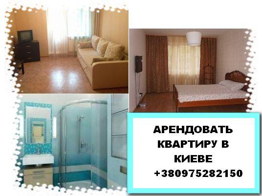 Арендовать квартиру возле метро Двухкомнатная квартира Киев - изображениe 1
