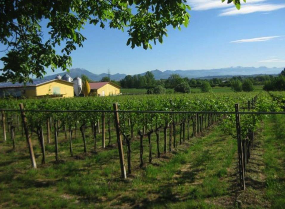 Работа на фермах в Португалии - изображениe 1