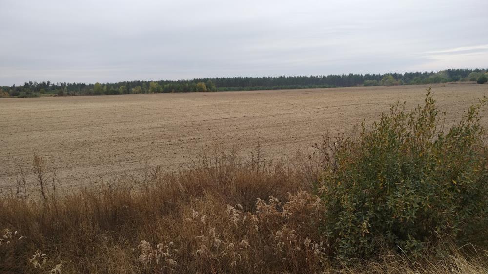 ПРОМЗОНА Продам свой участок 15 га 17 км от Окружной КИЕВ - изображениe 3