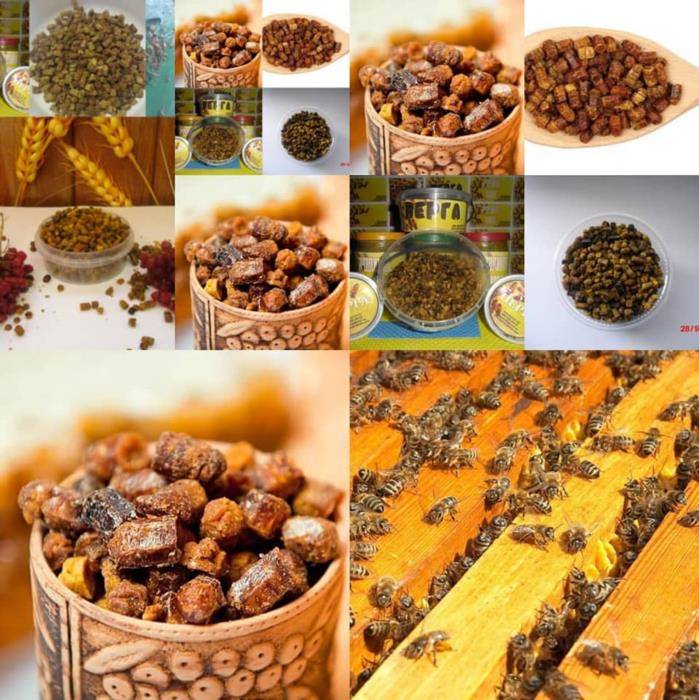 Перга пчелиный хлеб - изображениe 2