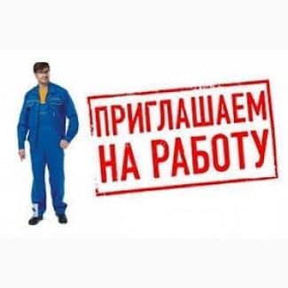 Оператор на линию по производству - изображениe 1