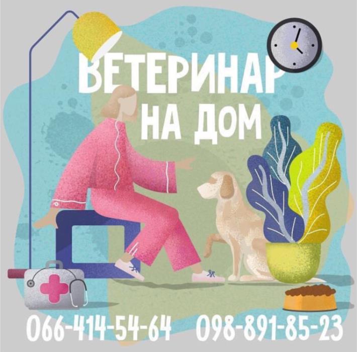 Ветеринар на дом в Харькове - изображениe 1