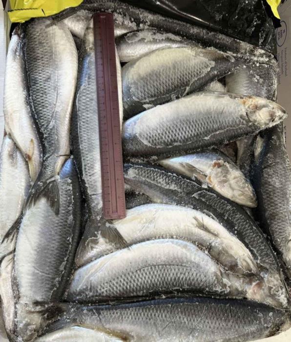 Товары из Европы Замороженная продукция Рыба-морепродукты суповые наборы сопутствующие товары - изображениe 9