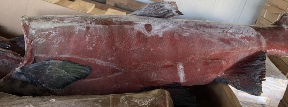 Товары из Европы Замороженная продукция Рыба-морепродукты суповые наборы сопутствующие товары - изображениe 21