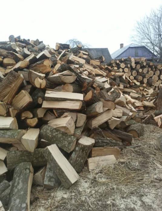 Дрова Млинів  продаж та доставка 