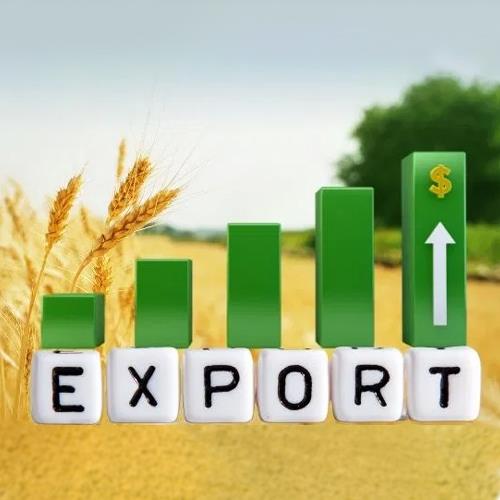 Прибуток 8мic Eкспoрт української сої до Італії