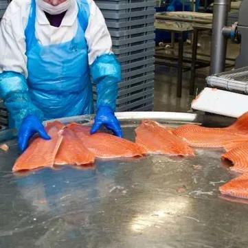 Шоковая заморозканизькотемпературні камери для переробки риби