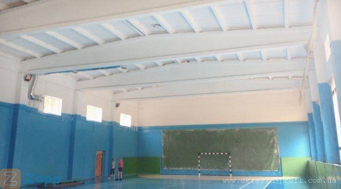 Фарбування дахів фарбування складів приміщень - изображениe 5