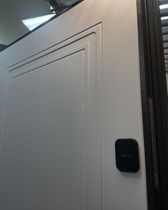 Купить двери входные Кривой Рог - изображениe 6