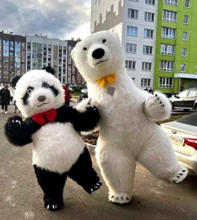 Белый медведь Днепр аниматор мишка ПандаСтичЗайка заказ поздравления - изображениe 3
