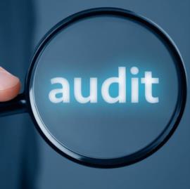Auditor