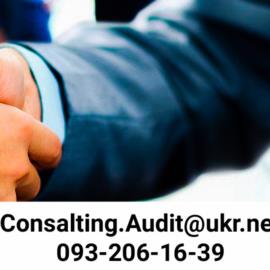 Auditor